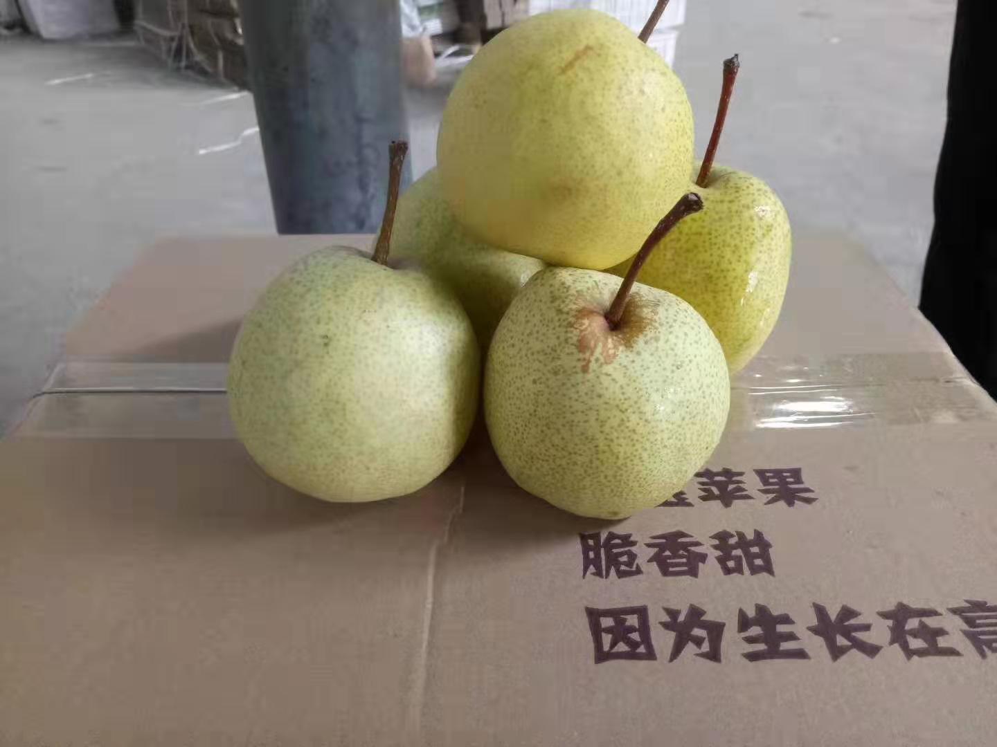 靈寶蘋果 靈寶蘋果